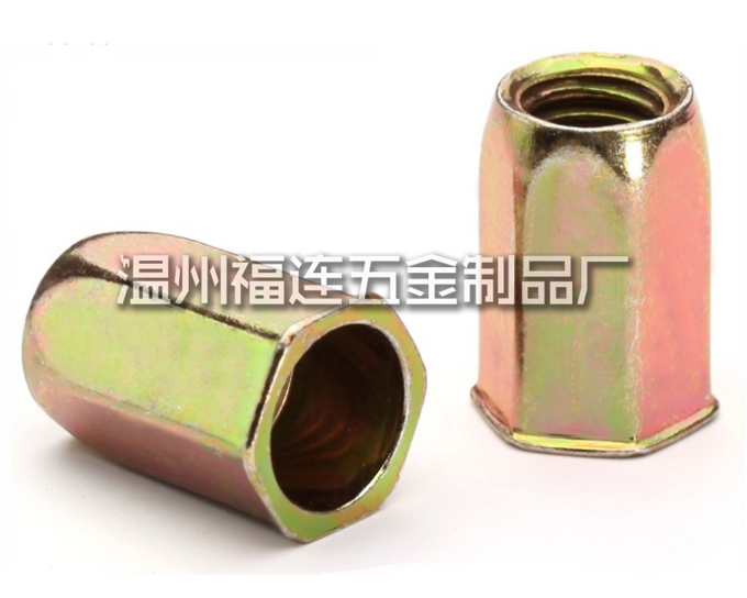 不銹鋼鉚螺母